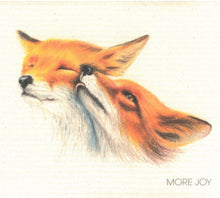 Load image into Gallery viewer, Cellulose "Sponge" Dishcloths