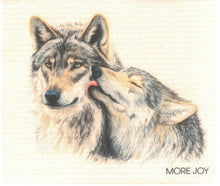 Load image into Gallery viewer, Cellulose "Sponge" Dishcloths