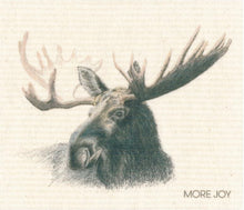 Load image into Gallery viewer, Cellulose "Sponge" Dishcloths