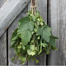 Load image into Gallery viewer, Dried Birch Sauna Whisks