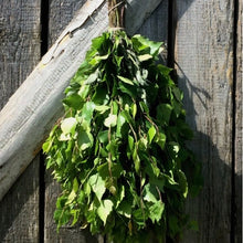 Load image into Gallery viewer, Dried Birch Sauna Whisks