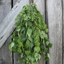 Load image into Gallery viewer, Dried Birch Sauna Whisks