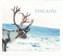 Load image into Gallery viewer, Cellulose "Sponge" Dishcloths