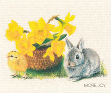 Load image into Gallery viewer, Cellulose "Sponge" Dishcloths