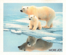 Load image into Gallery viewer, Cellulose "Sponge" Dishcloths