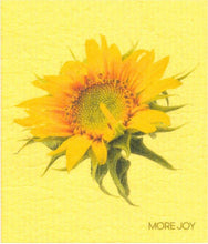 Load image into Gallery viewer, Cellulose "Sponge" Dishcloths