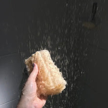 Load image into Gallery viewer, Premium Organic Egyptian Loofah Sponge with Rope