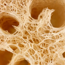 Load image into Gallery viewer, Egyptian Loofah Whole Plant Sponge