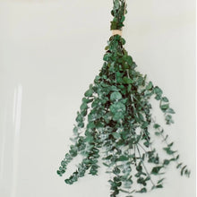 Load image into Gallery viewer, Eucalyptus Shower/Sauna Bundles