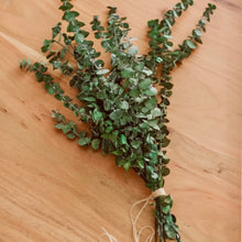 Load image into Gallery viewer, Eucalyptus Shower/Sauna Bundles