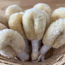 Load image into Gallery viewer, Nordic Dry Brush