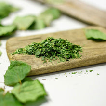 Load image into Gallery viewer, Sauna Birch Scents