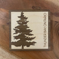 Thunder Bay Pine Tree Coasters