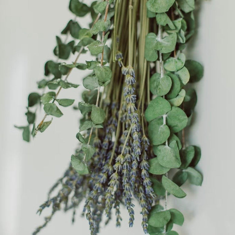 Eucalyptus + Lavender Shower Bundles