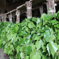 Dried Birch Sauna Whisks