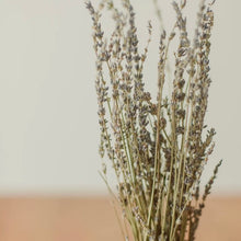 Load image into Gallery viewer, Lavender Bundles
