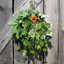 Load image into Gallery viewer, Dried Birch Sauna Whisks
