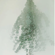 Eucalyptus Shower/Sauna Bundles