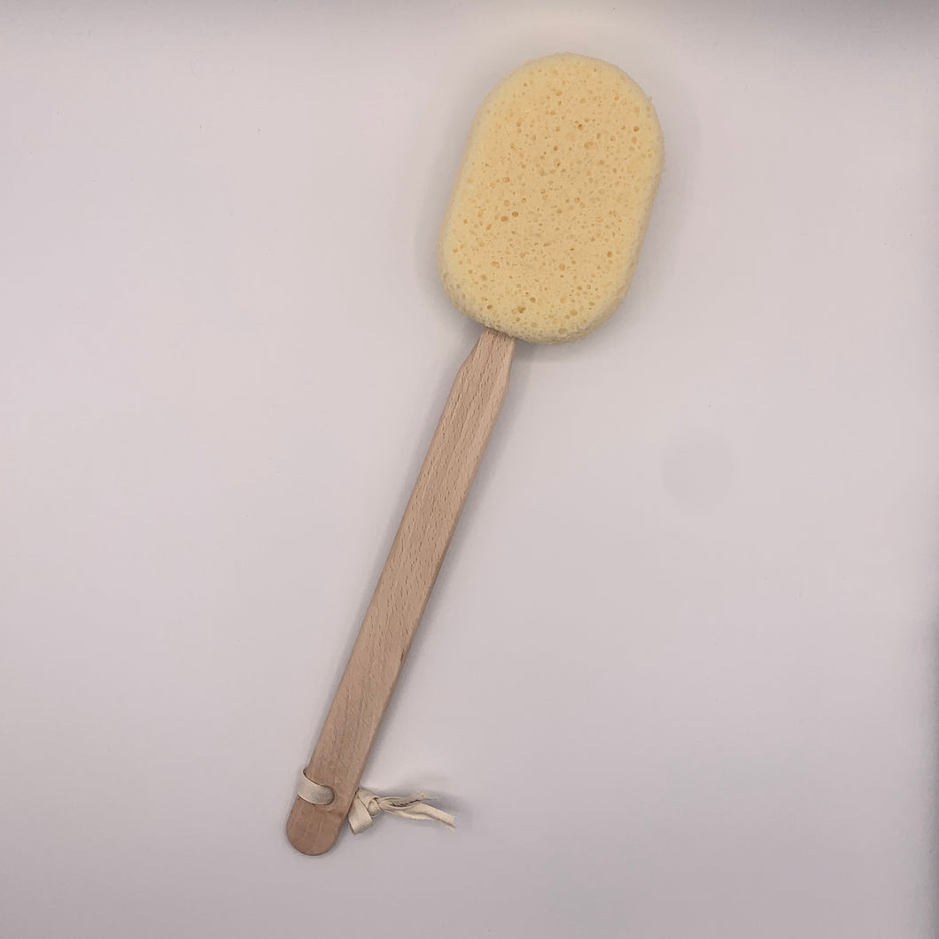 MASSAGE Sponge Brush